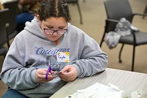 2024 Elementary Science Olympiad (Day 1 Part 2)