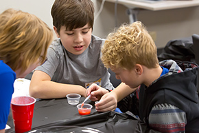 2024 Elementary Science Olympiad (Day 1 Part 2)