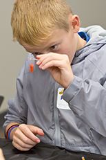 2024 Elementary Science Olympiad (Day 1 Part 2)